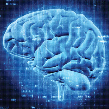 Brain Render For Differences Between TMS Treatments